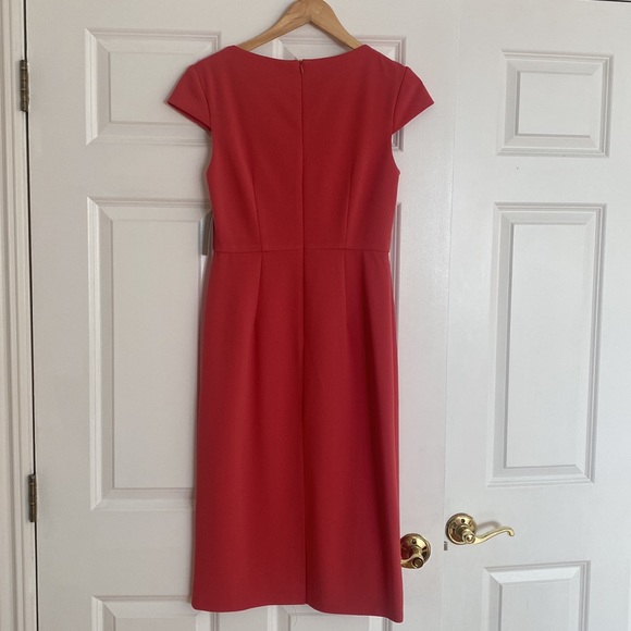 Apricot - Picture 3 of 8